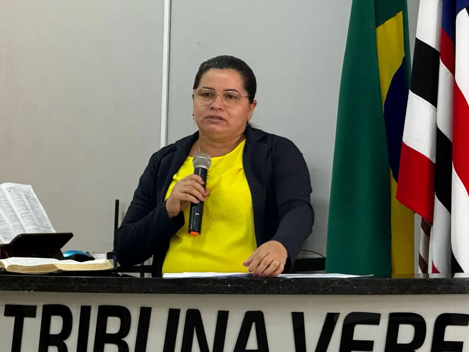 Foto 5 – Câmara Municipal de Esperantinópolis realiza sessão ordinária com foco em segurança, saúde e infraestrutura